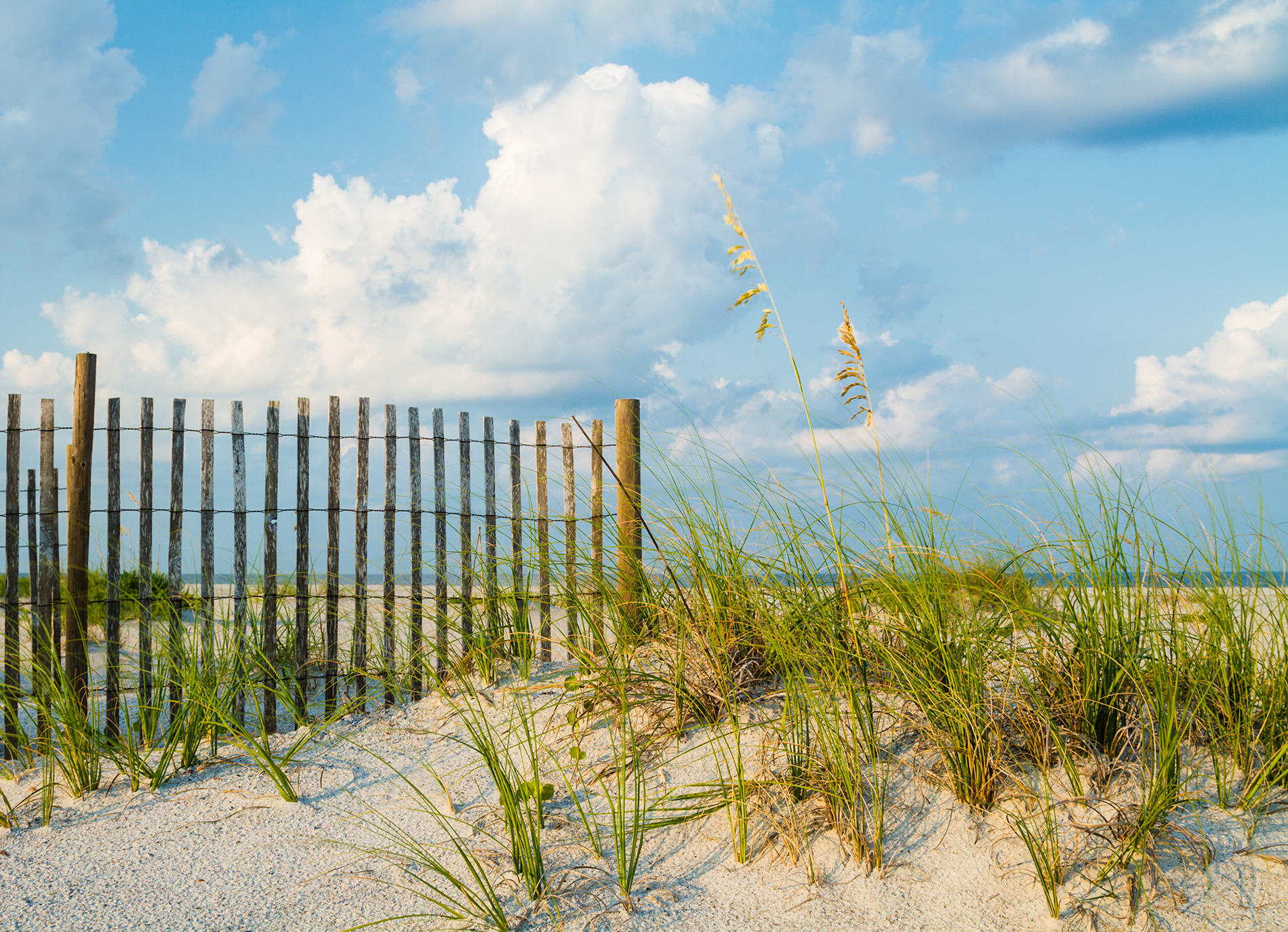 Skyline - amelia dunes fl