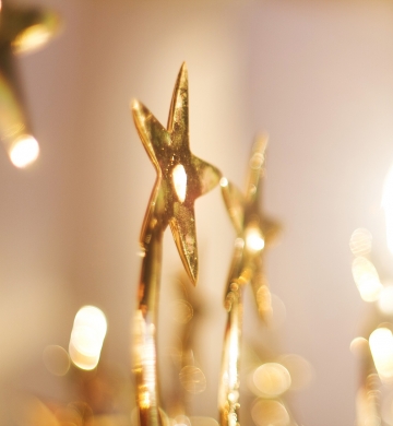 LSMx wins Gold Stevie Award